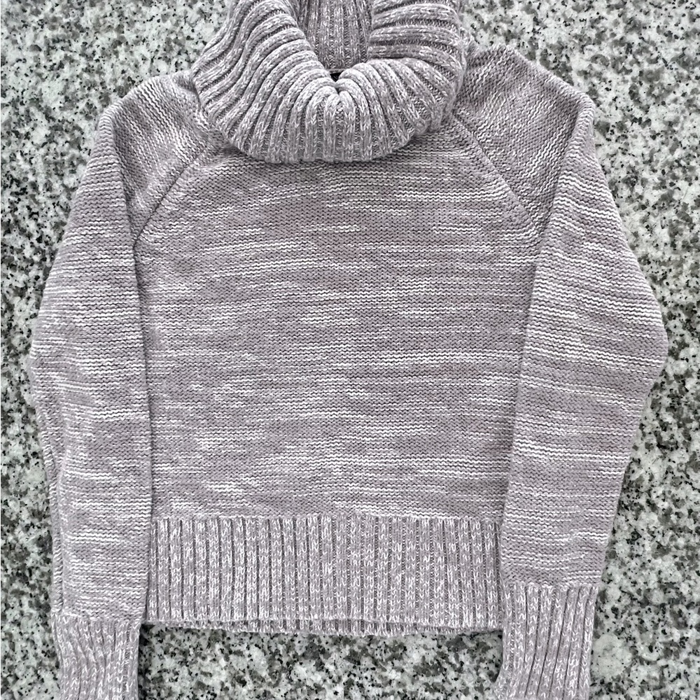 Banana Republic Turtleneck Sweater